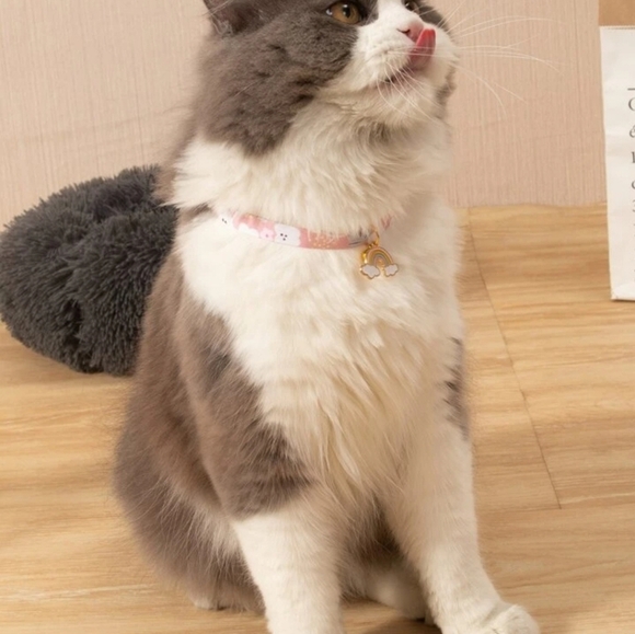 Floral Pink & Rainbow Charm Safety Break Away Cat Collar - Picture 2 of 8